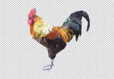 PNG Close up on beautiful chicken bg