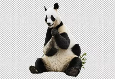 Majestic Giant Panda Sitting Serene: Iconic Wildlife Creature on Transparent Background 8974 image