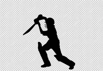 A sketch of a cricket