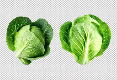 Fresh Green Cabbage Heads for Healthy Cooking and Vibrant Designs image