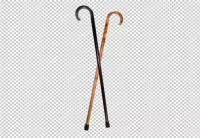 Walking stick Assistive cane Swordstick Handle