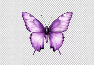 Vibrant Purple Butterfly PNG for Creative Designs and Nature Projects image