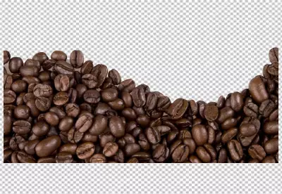 A bunch of coffee beans are on 