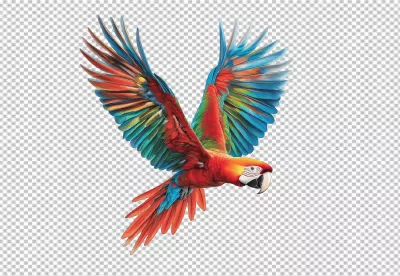 Vibrant Flying Scarlet Macaw Parrot PNG Cutout for Design Projects image