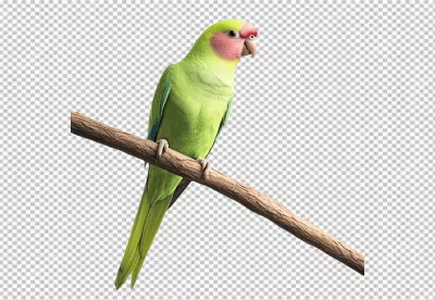 Vibrant green parrot with pink face perched on a natural branch eye-catching exotic bird image