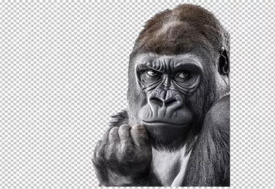 Thinking Gorilla Face PNG Cutout for Wildlife Design Projects image