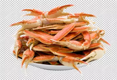 Cooked lobster claw PNG