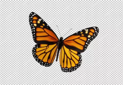 Vibrant Monarch Butterfly PNG Cutout for Nature Designs image