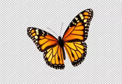 Vibrant Orange Monarch Butterfly PNG Cutout for Creative Design Projects image
