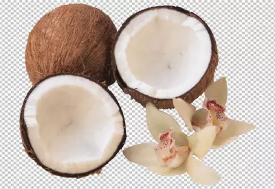 PNG Fresh coconuts and coconut milk