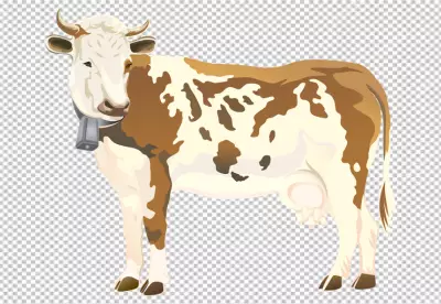 Hand drawing cow transparent background 