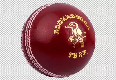 Cricket Championship with Ball Wicket with Helmet PNG