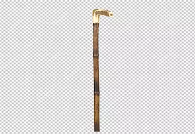 a walking stick is made of wood and has a brass handle