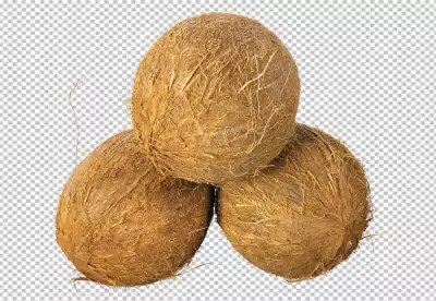 Piece of coconut isolated on transparent background