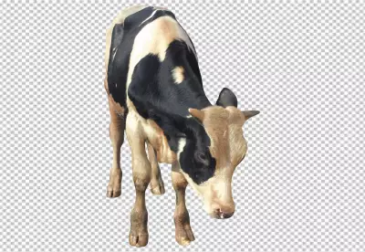 Portrait of a cute cow with horns standing