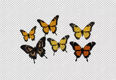 Collection of Vibrant Butterflies in Flight on White Background image