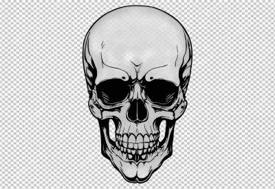 Detailed Stylized Human Skull Vector Illustration with Shading and Dark Eyes image