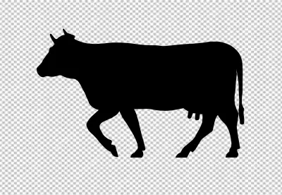 stand up cow  silhouette transparent background 