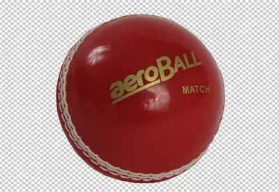 Cricket Championship with Ball Wicket