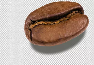 PNG Coffee bean close up transparent background 