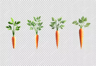 Vibrant Fresh Carrots with Green Leaves PNG for Healthy Recipes image