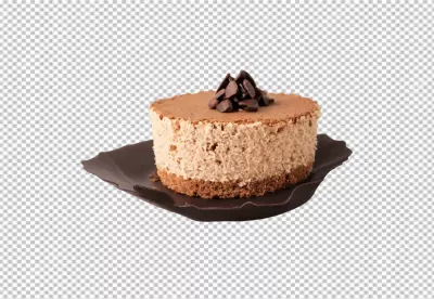 Elegant Individual Chocolate Mousse Cake with Chocolate Chips on Decorative Plate image