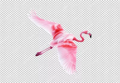Majestic Pink Flamingo in Dynamic Flight PNG Cutout for Design Projects image