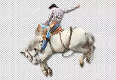 Cowboy with horse against 