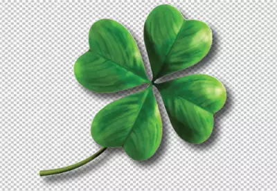 Elegant clover leaves