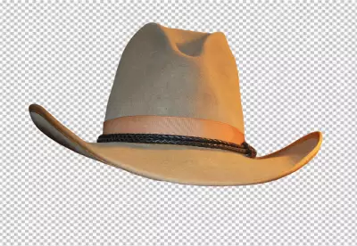 Stylized Cowboy Hat