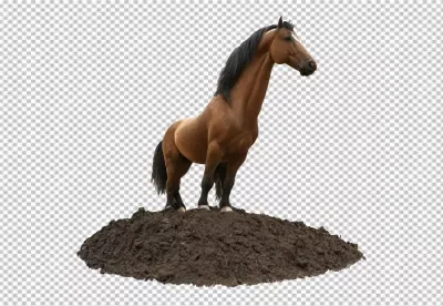Majestic Bay Horse Standing Gracefully on a Small Earth Mound, Full Body Shot image