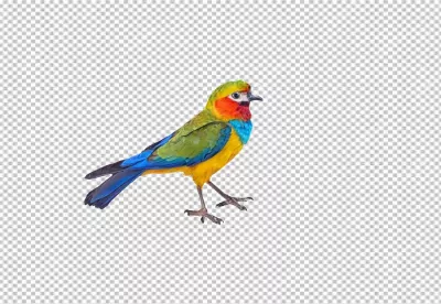 Vibrant Multi-Colored Bird with Bright Feathers Isolated on White Background image