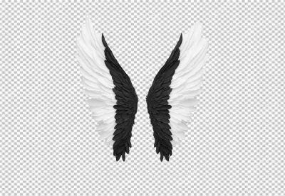 Striking Black and White Feathered Wings PNG for Creative Design Projects image