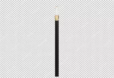 a 3D rendering of a single black walking stick