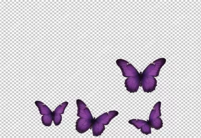 Vivid Purple Butterflies Flying Isolated on a Pure White Canvas image