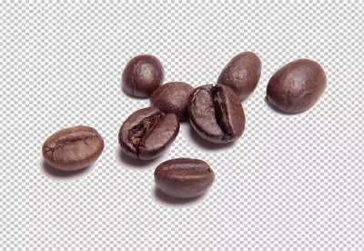 Brown Coffee Beans on Transparent PNG