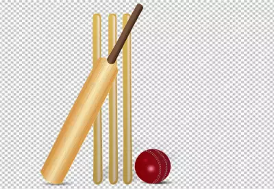 Dynamic Cricket Player PNG