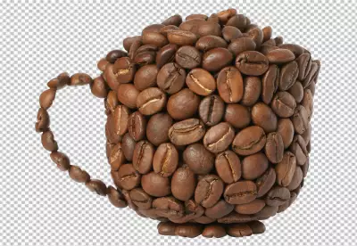 Coffee bean cap shape transparent background 