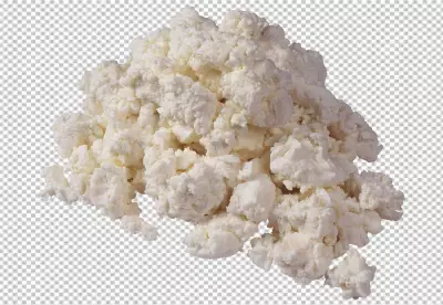 Dish full of cottage cheese