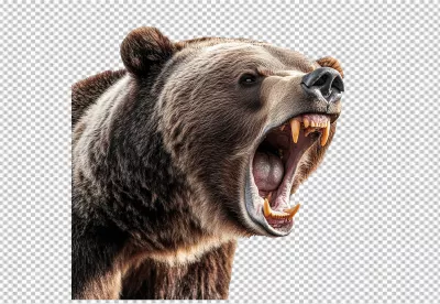 Fierce Roaring Grizzly Bear Head PNG Cutout for Dynamic Wildlife Designs image