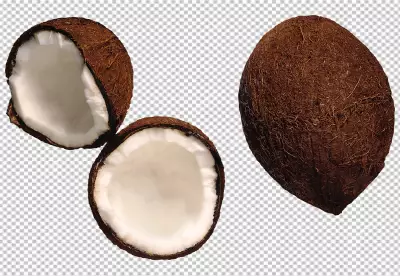 Fresh coconuts and coconut