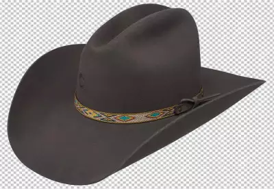 Classic Brown Cowboy Hat with a Western
