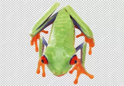 A green frog with red eyes is sitting on a transparent background