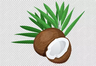 PNG Fresh coconuts and coconut