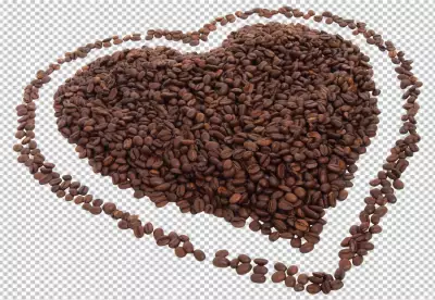 PNG A bunch of coffee beans are on a checkered