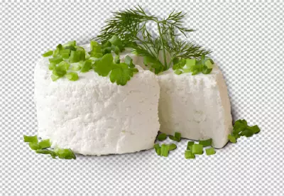 Cottage cheese front view full length isolate on transparency PNG