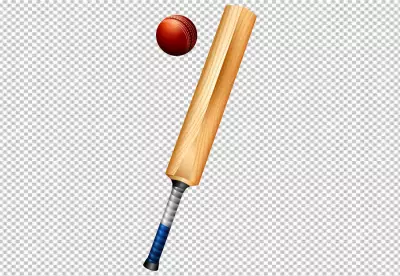 bat and a bat with the words cricket on it PNG