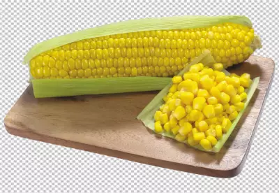 Sweet corn on transparent background PNG