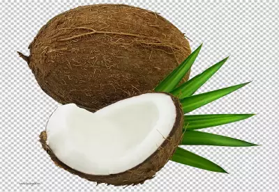 Coconut with half and leaves on PNG