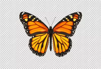 Vibrant Monarch Butterfly with Open Wings - High-Quality PNG Cutout for Designs image